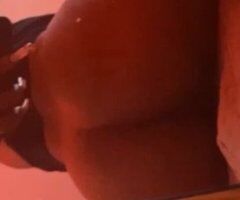 Martini-Style Incall in East Bay — 21 - Image 6