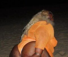 Portsmouth escorts - Kay Kaash — Big Booty BBW Female Escort in Portsmouth, VA