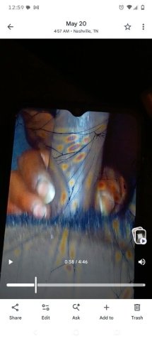 Nashville TN Female Escort — Two Girl Special (This Morning) - 1