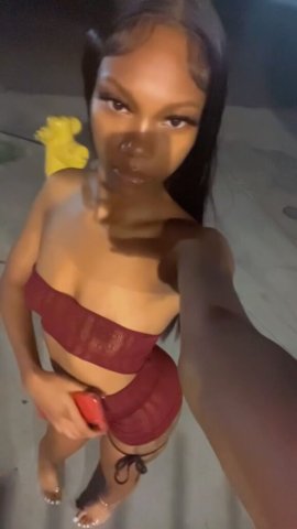 Chocolate — Seattle Outcall Female Escort for Dinners, Overnights & Massages - 1