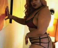 Back in Town - Chocolate Delight 5'4 Female - Image 4