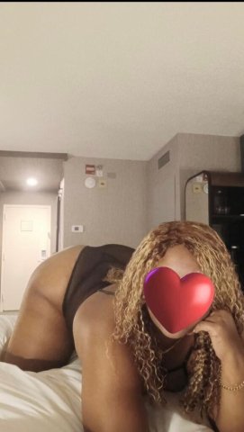 Latina Escort — Brunswick, Georgia - 1