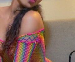Beaumont Persian Goddess Escort — Slim Soft-Skin Exotic Treatment - Image 3