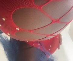 North Bay escorts - North Bay CA Escort — Deep Throat, Tight Pussy Services (Verification Required)