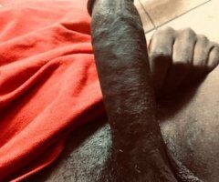 great dick available - Image 2