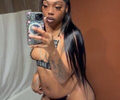 San Jose escorts - San Jose Incall & Outcall Female Escort — Wet & Tight service