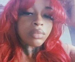 North Bay Female Escort — Incalls (Black & Puerto Rican) - Image 4