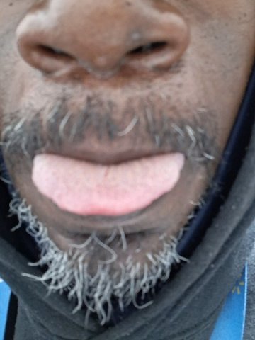 looking to lick on some good kitty - 1