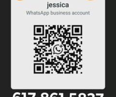 Palm Bay escorts - Palm Bay Asian Female Escort — incall, outcall, and carplay