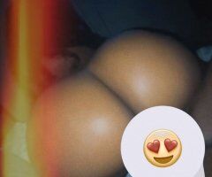 Miami escorts - Miami Queen Backshots — Upscale, Discreet Meet (Verified)