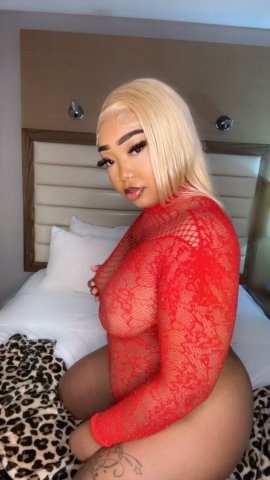 Biloxi Female Escort — Incalls, Outcalls & F T Shows - 1