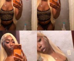 Fairy in Miami, FL — Incall or Outcall (Deposit + Video Verification) - Image 3