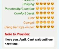Fort Worth Texas Female Escort — BJ special & scheduling rules - Image 6