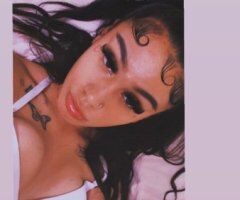 North Bay escorts - North Bay Favorite — Photo Verification Female Escort