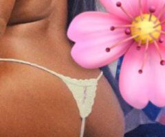 Norfolk, VA FunSize Chocolate Escort — 4'8" - Image 12