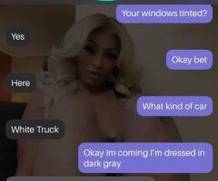 Baton Rouge Female Escort — $100 QV IncalIs Special - Image 4