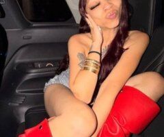 Outcalls/Incalls in North Bay, CA — Petite Upscale Escort - Image 5