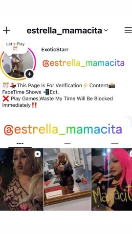 Exotic Mamacita — In/Out Specials (Houston) - 1