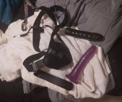 Southern Maryland escorts - Royalty Domme (BDSM) — personal domination & fetish play