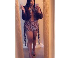 Philadelphia escorts - Sexy Latin TS India in Philadelphia — discreet private time