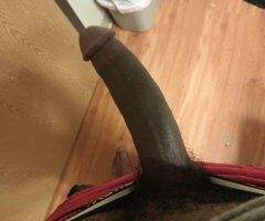 9 inch dick on deck - Image 5
