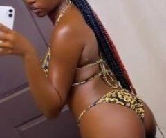 Honolulu Female Escort — In-call, outcalls & cardate available today - Image 3