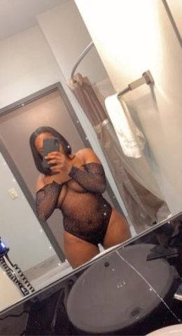 Wet & waiting companion in Madison — sweet tooth pampering - 1