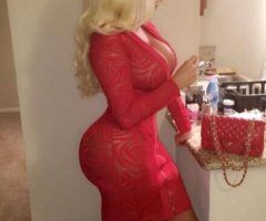 Platinum Blonde (29) Female Escort in Hartford, CT — Verified & Light Screening - Image 3