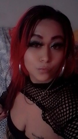 BBw Provider — 36 - 1