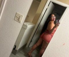 Denton TX Cum Play Companion - Image 3