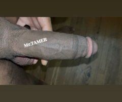 Call me Mr. Tamer 😈🔨🐱🍑 - Image 2