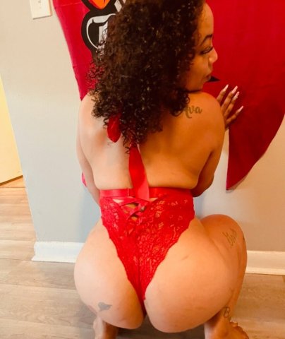 Ebony Female Escort in Sarasota/Bradenton for BBJ, Oral, Anal & Blowjob (Incall/Outcall) - 1