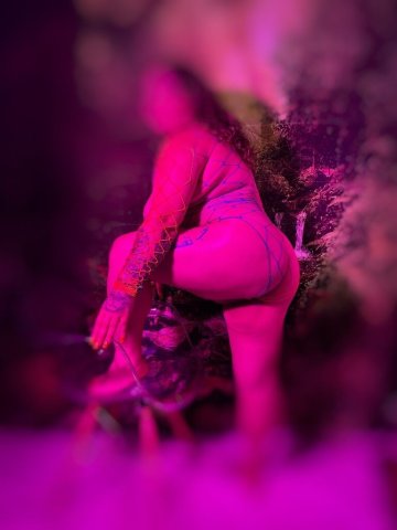 Phoenix FaceTime Shows & Fetish Foot Services (Gentlemen Only) - 1