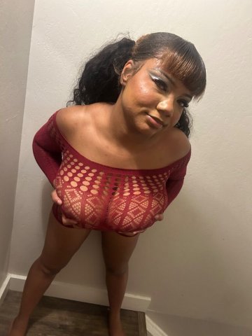 Hayward Private Outcalls & Car Dates (Verified) — Appointment Only - 1