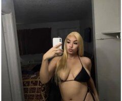 Phoenix Tay—Incalls/Outcalls (Deposit Required)  - Image 5