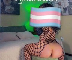 Discreet McAllen Female Escort — dominant, elegant company - Image 7
