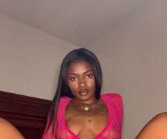Springfield MO Chokola — Natural Model-Type Companion - Image 4