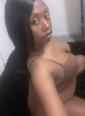 Houston Outcall Ebony Playmate — Truck Driver Friendly (Longer Appointments) - 1