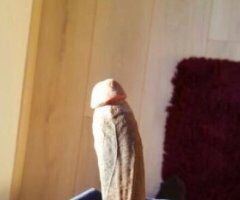 YN DICK 🍆💦 ONE NIGHT ONLY !! - Image 2