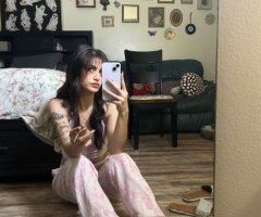 New Port Richey Incall Female Escort — video verification, texting & calls - Image 8