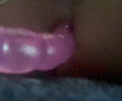 Miami Female Escort — Incall Sessions - Image 3