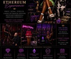 Findom On Tour — Cryptocurrency “Ethereum” Tribute - Image 4