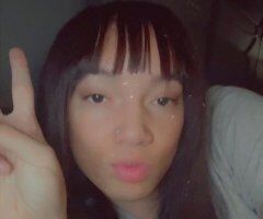 In-call Transwoman in Sharonville (Cincinnati) — 23 - Image 3