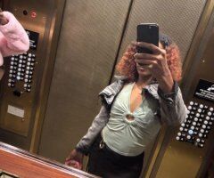 Available for outcall — upscale, discreet time (San Francisco) - Image 2