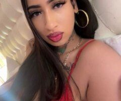 💎𝒲𝑒𝓉, 𝒲𝒾𝓁𝒹 & 𝑅𝑒𝒶𝒹𝓎 𝓉𝑜 𝒫𝓁𝑒𝒶𝓈𝑒 𝐸𝓋𝑒𝓇𝓎 𝐹𝒶𝓃𝓉𝒶𝓈𝓎 💦 👅 𝐂𝐚𝐥𝐥 𝐦𝐞 𝟐𝟒/7 💦🤍 - 24 - Image 6