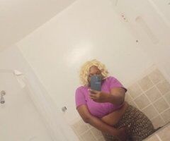 Northern Virginia escorts - ✨ Professional • Polished • Memorable ✨ - 34