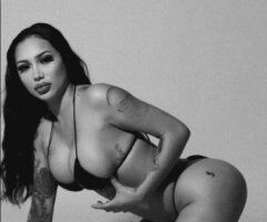 visiting hawaii ready to play🌺🌴😻 - 23 - Image 5