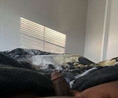 Charlotte escorts - $60 INCALL ONLY