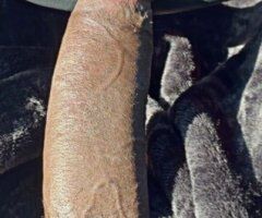 Best Dick Around - Image 4