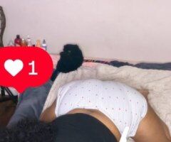 sexy thick mixbreed 🫦 - 24 - Image 5
